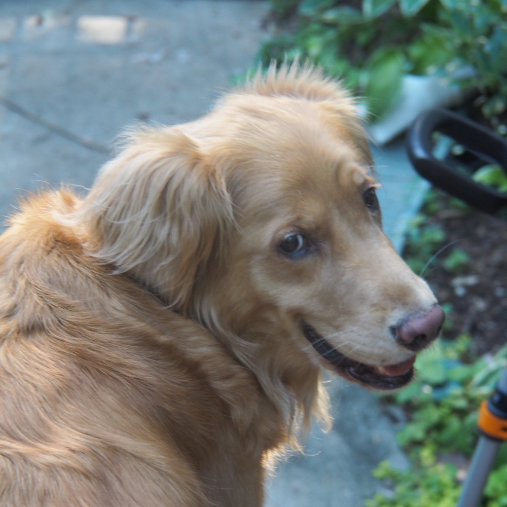 Meet your Posher, Kimberly